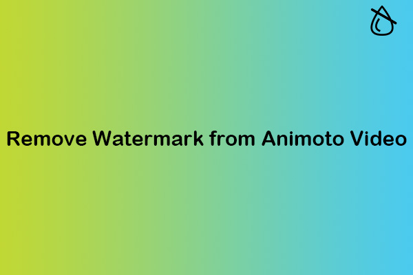 How to Remove Watermark from Animoto Video in Various Ways?