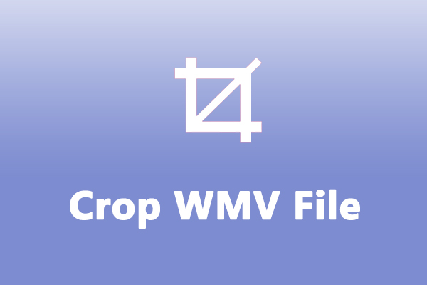 How to Crop WMV Files: A Step-by-Step Guide