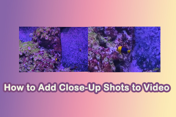 How to Add Close-Up Shots to Video for Maximum Impact Like a Pro