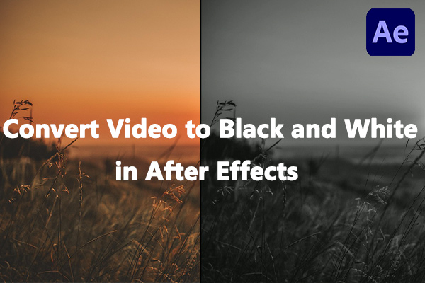 How to Convert Video to Black and White in After Effects [Solved]