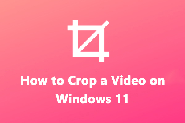 Como recortar um vídeo no Windows 11/10? Confira 5 métodos