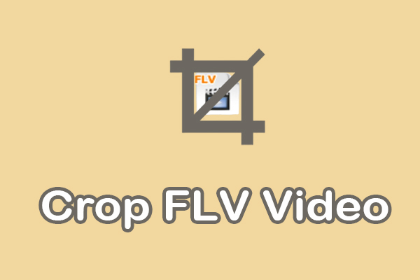 How to Crop FLV Video Files on Windows [2 Quick Methods]