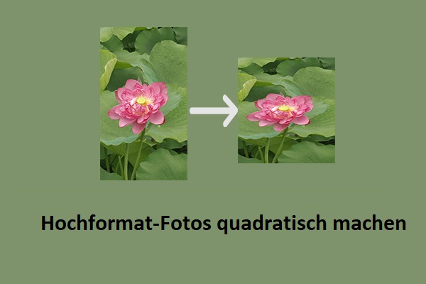Die besten Methoden, um Ihre Hochformat-Fotos in quadratische Formate umzuwandeln