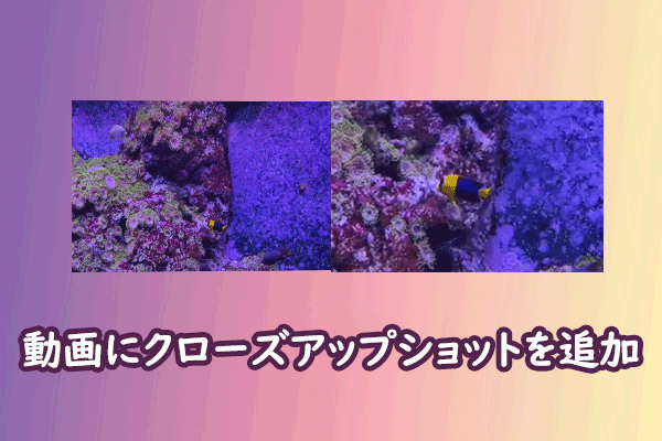 動画にクローズアップショットを追加してインパクトを強調する方法