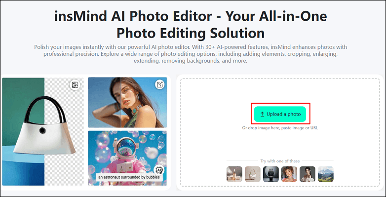 Click the Upload a photo button in insMind to import the target picture