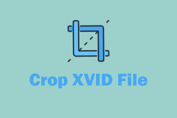 Crop XVID File with Three Reliable Methods [Specific Guide]
