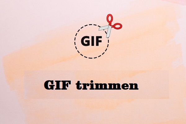 Professionelle Tools zum Trimmen von GIFs unter Windows und online