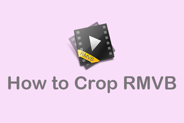 Step-By-Step Guide on How to Crop RMVB on Windows [3 Methods]