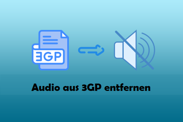 So entfernen Sie Audio aus 3GP-Dateien auf dem PC: Die 3 besten Tools