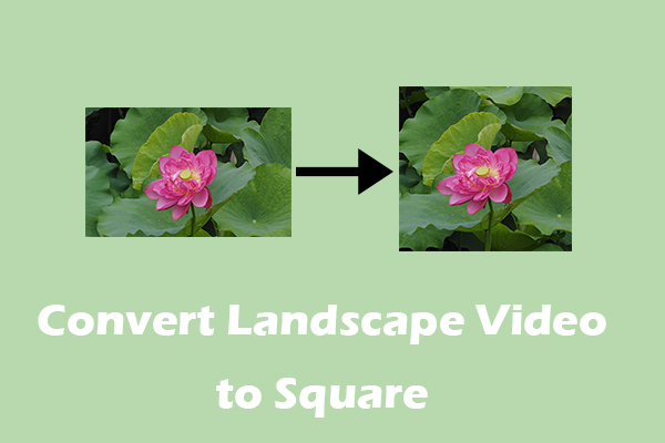 How to Convert Landscape Video to Square: 3 Methods