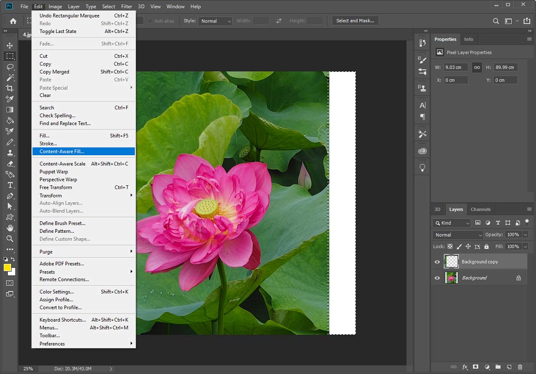 Content-Aware Scale in Photoshop
