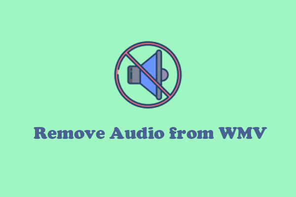 How to Remove Audio from WMV on PC: 2 Effective Methods