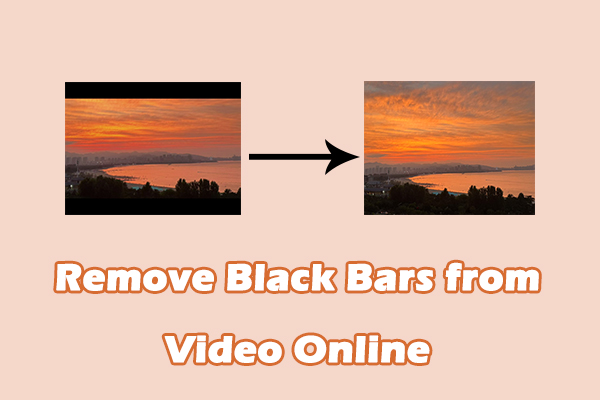 2 Results-Driven Methods to Remove Black Bars from Video Online
