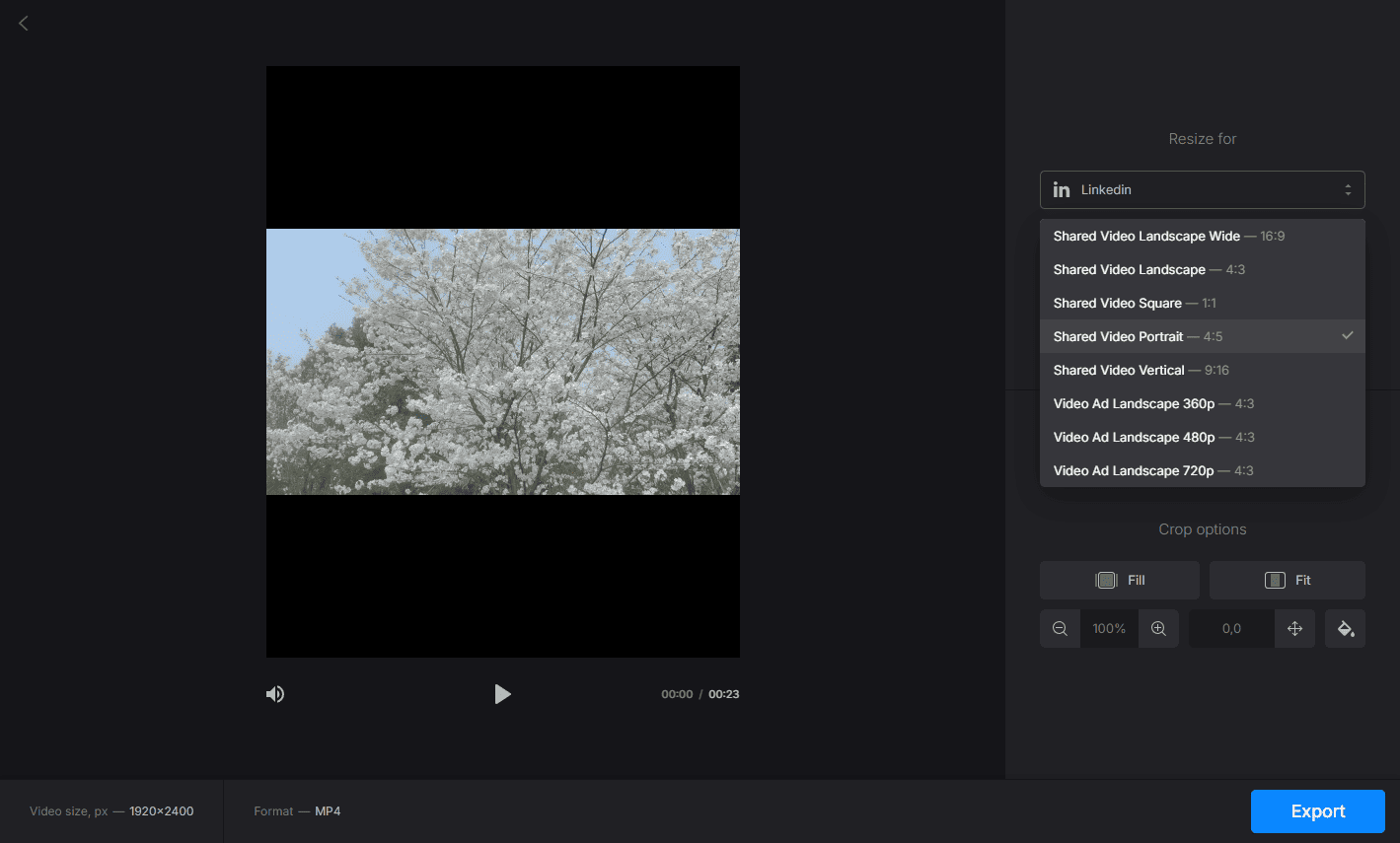 Select an aspect ratio for video on Clideo