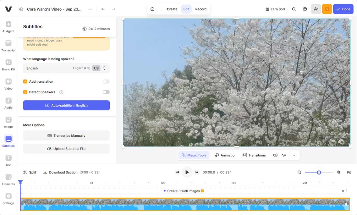 Translate subtitles with VEED.IO