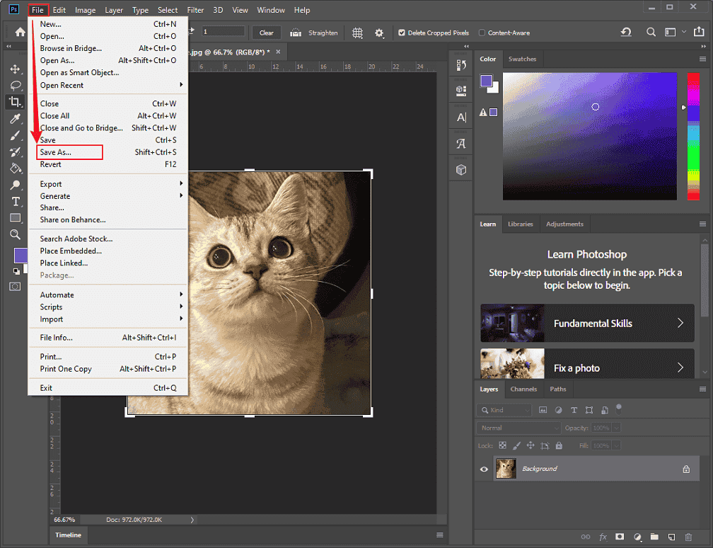 Save the photo from Adobe Photoshop
