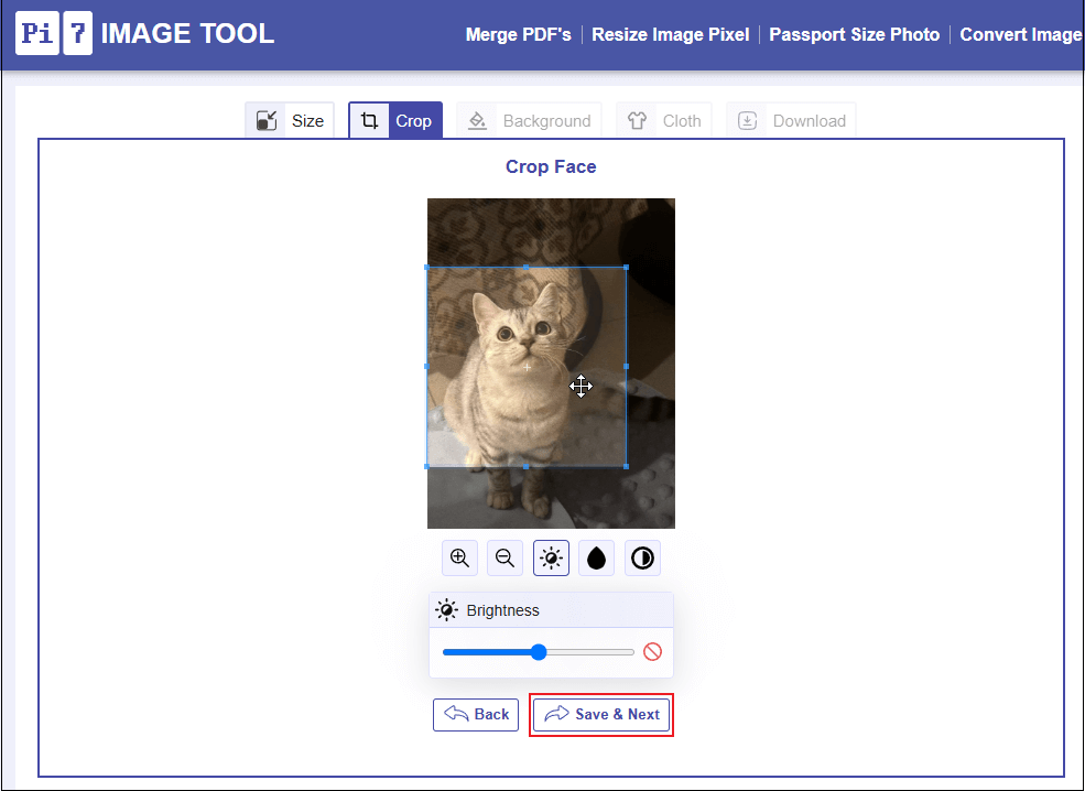 Adjust the photo settings in Pi7 Image Tool