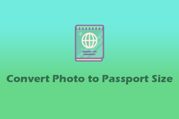 3 Quick Methods to Convert Photo to Passport Size on PC