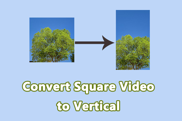How to Convert Square Video to Vertical Format Easily