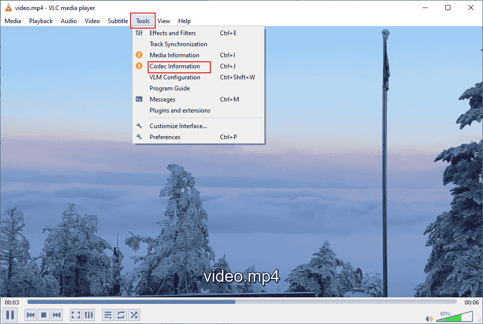 Click Tools in the top menu and click Codec Information in VLC