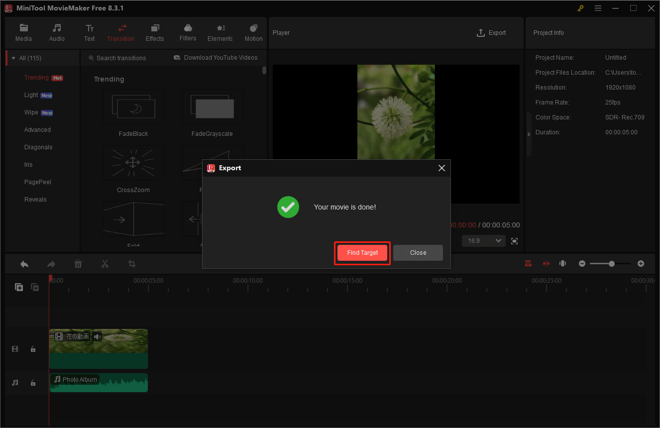 「Find Target」オプションをクリックして、ローカルフォルダー内の動画ファイルを確認