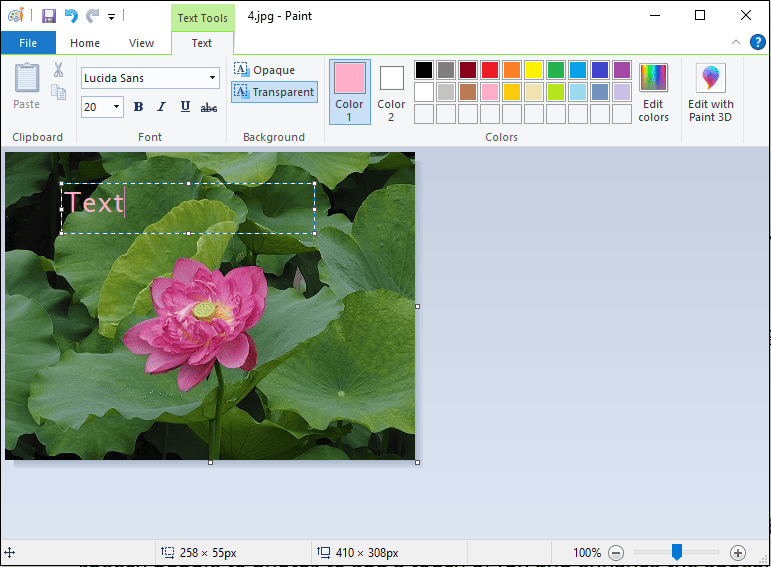 A lotus flower image with the Text word on it in the Microsoft Paint interface.