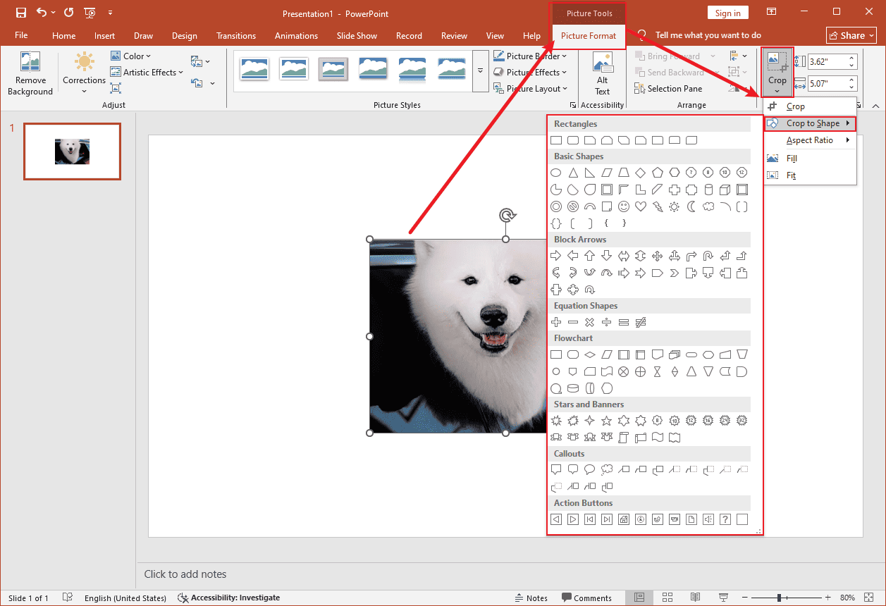 Microsoft PowerPoint interface that shows how to crop pictures into shape from the Picture Format tab.