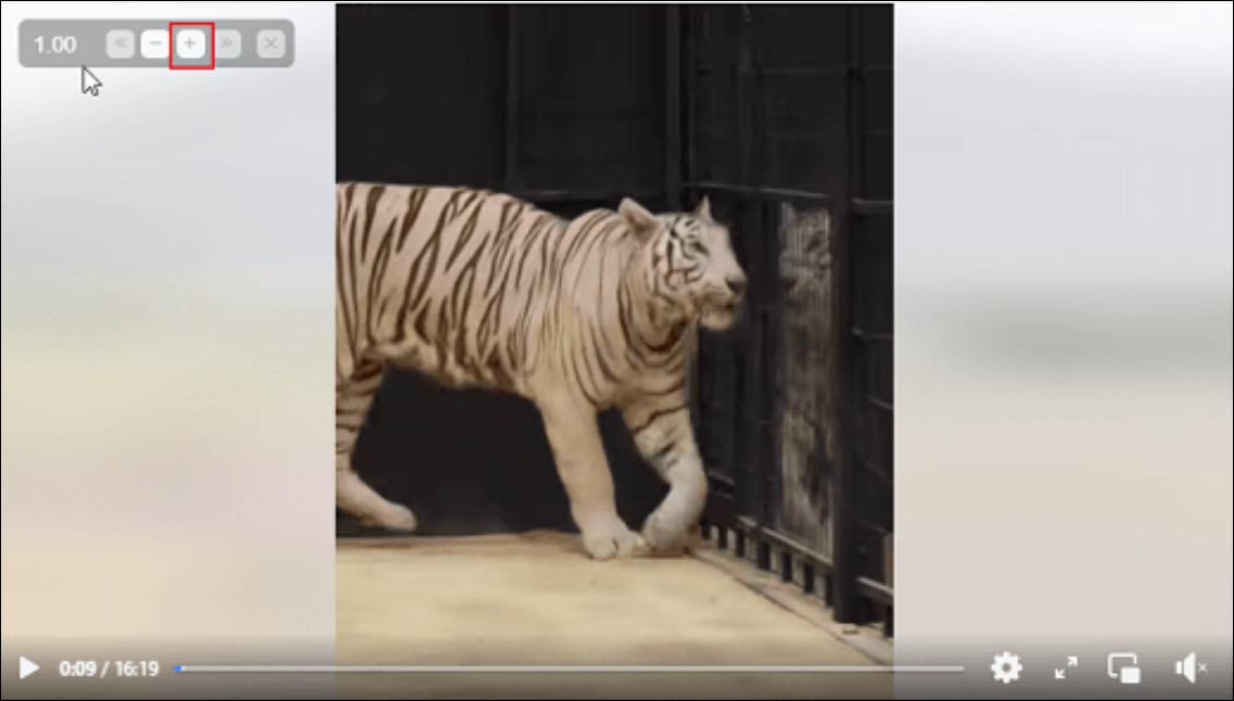 動画の左上の速度インジケーターにあるプラス（＋）アイコンをクリックして、動画をスピードアップ