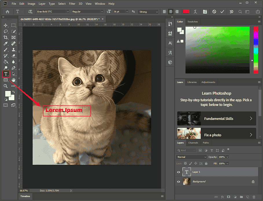 Type your text into the text layer in Photoshop