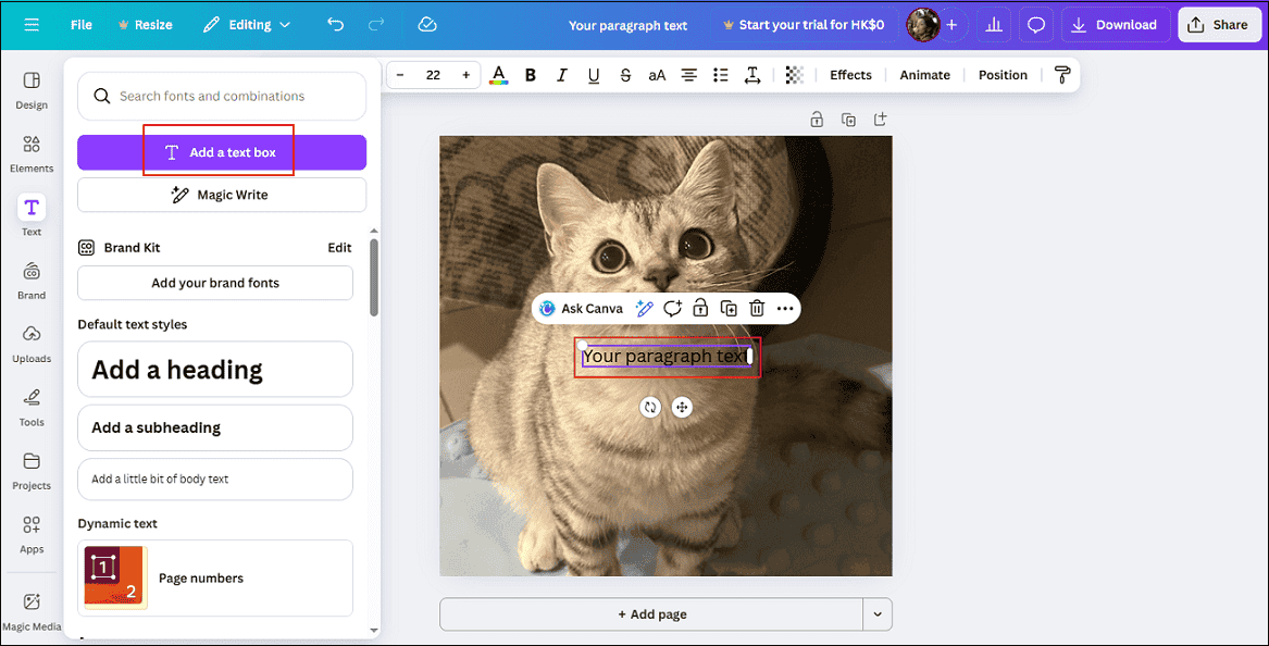 Add a text overlay on the image in Canva