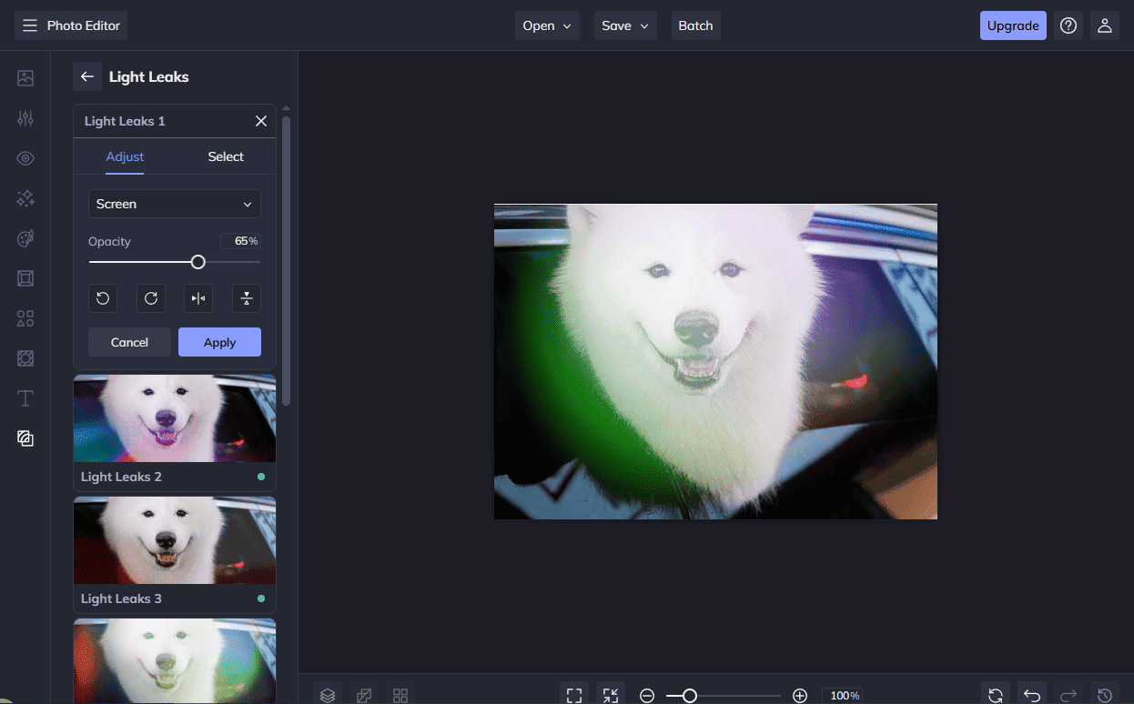 BeFunky interface that shows how to adjust the Light Leaks properties from the Texture tab.