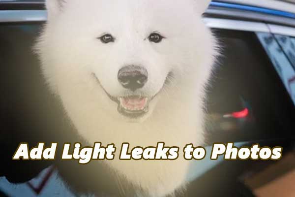 Two Effective Methods to Add Light Leaks to Photos on Windows