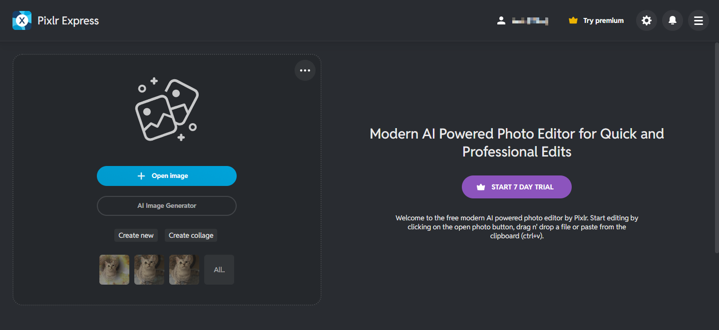 Pixlr’s photo editor interface.