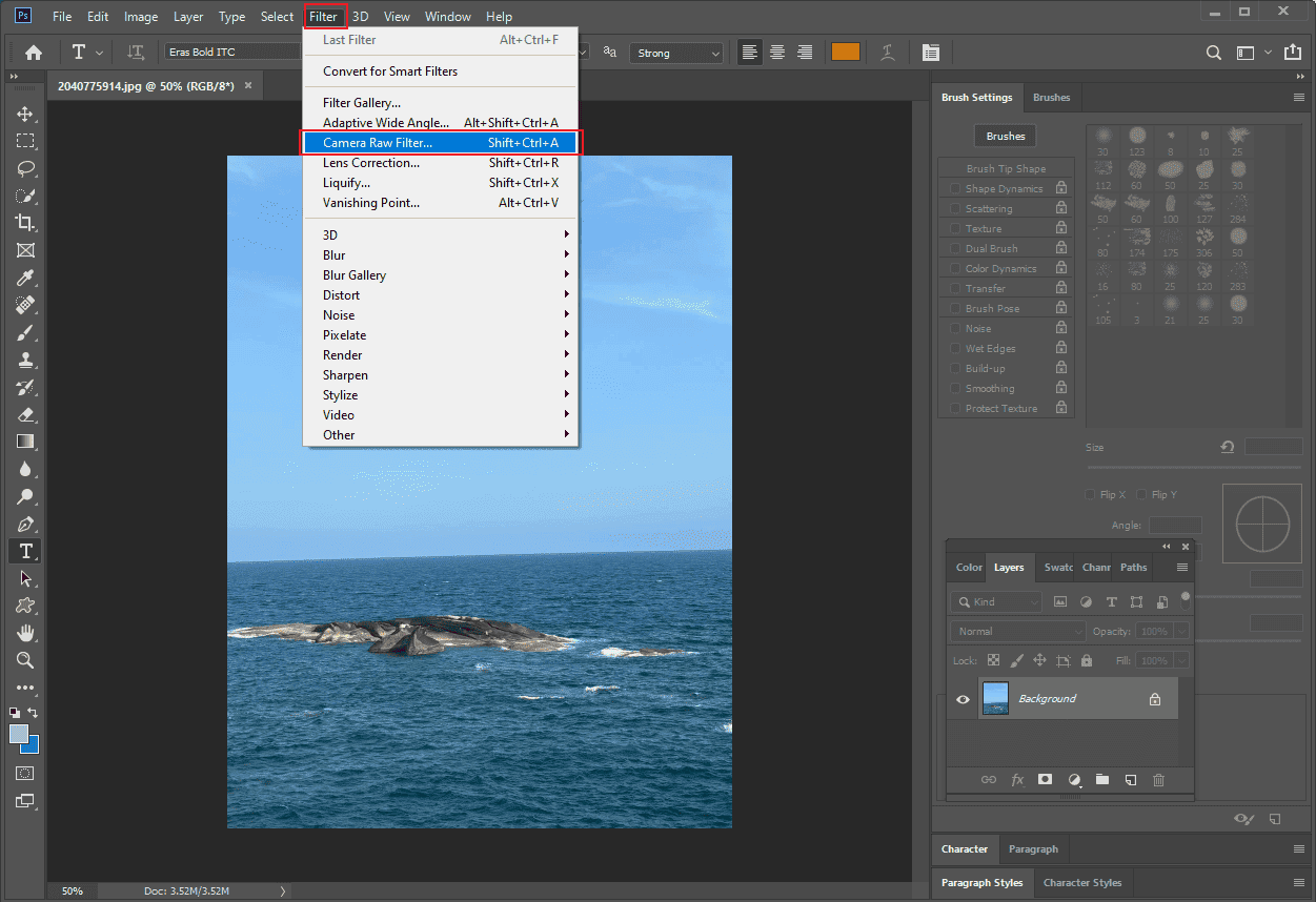 Photoshop interface with the selected Camera Raw Filter…option from the Filter tab.