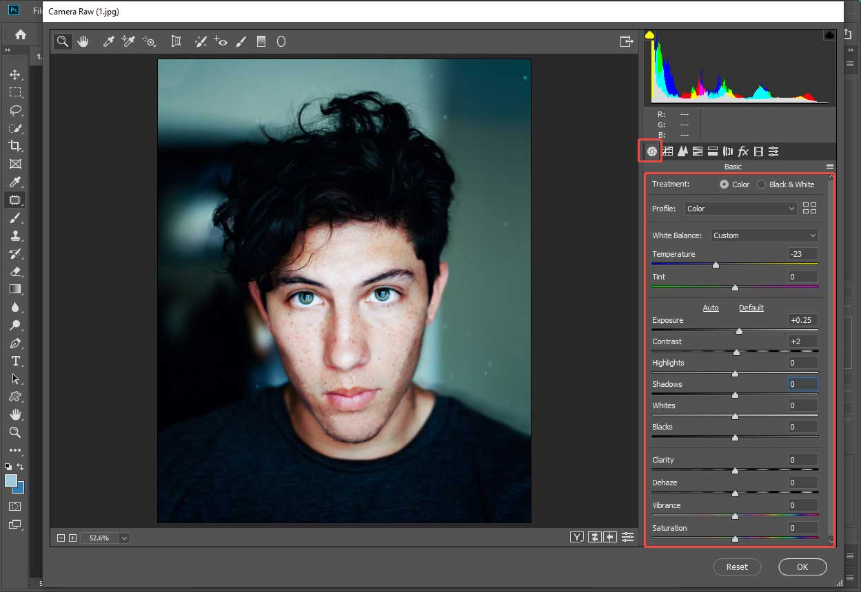 Photoshop Camera Raw window that shows how to adjust the image tone and brightness.