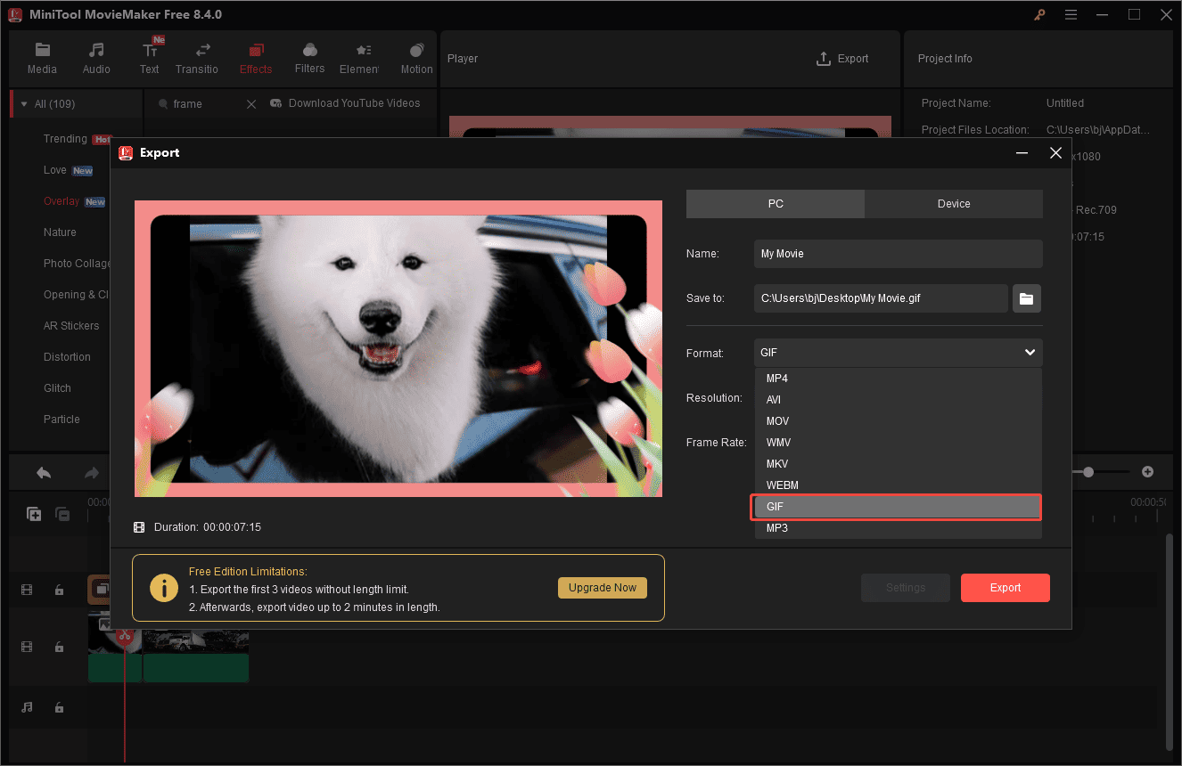 Exportfenster von MiniTool MovieMaker mit dem ausgewählten GIF-Format.