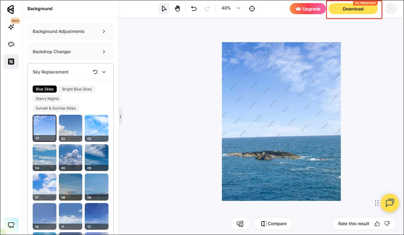 Evoto interface with the highlighted Download option.