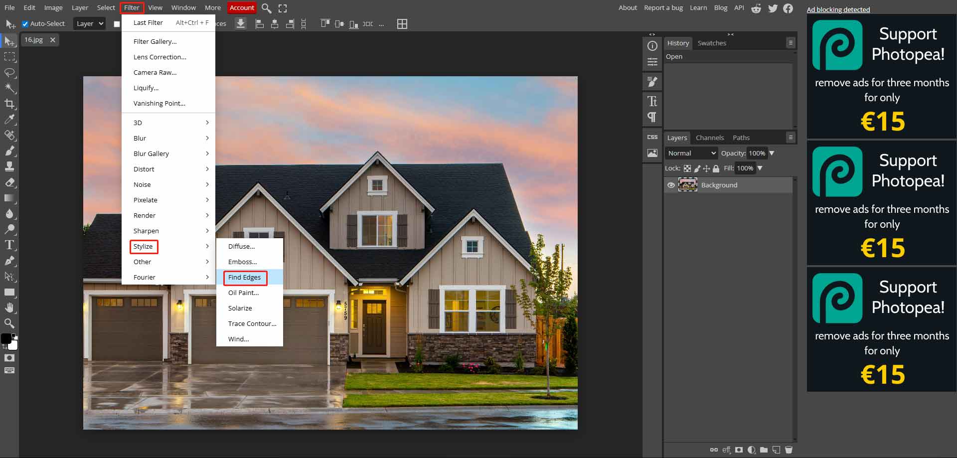Photopea interface showing how to add the Find Edges filter to the photo.