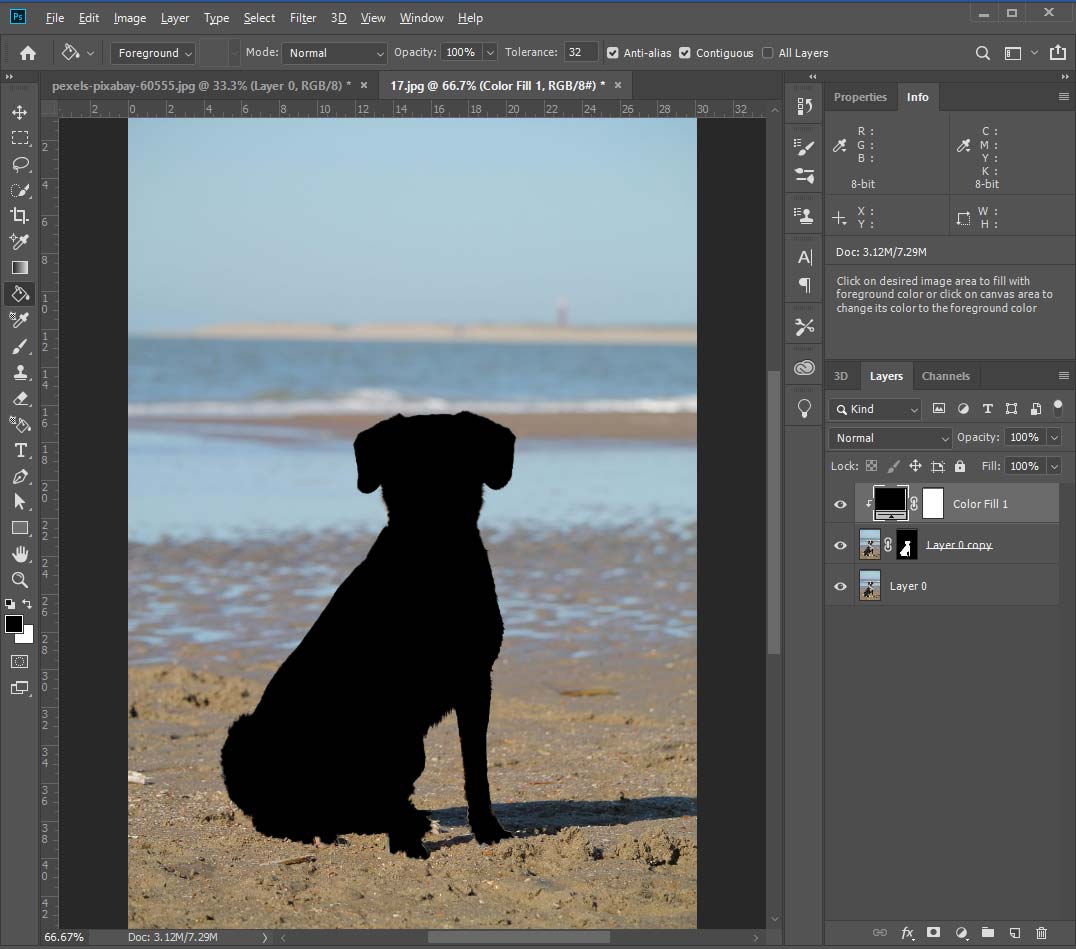 Photoshop interface with a dog silhouette on the beach.