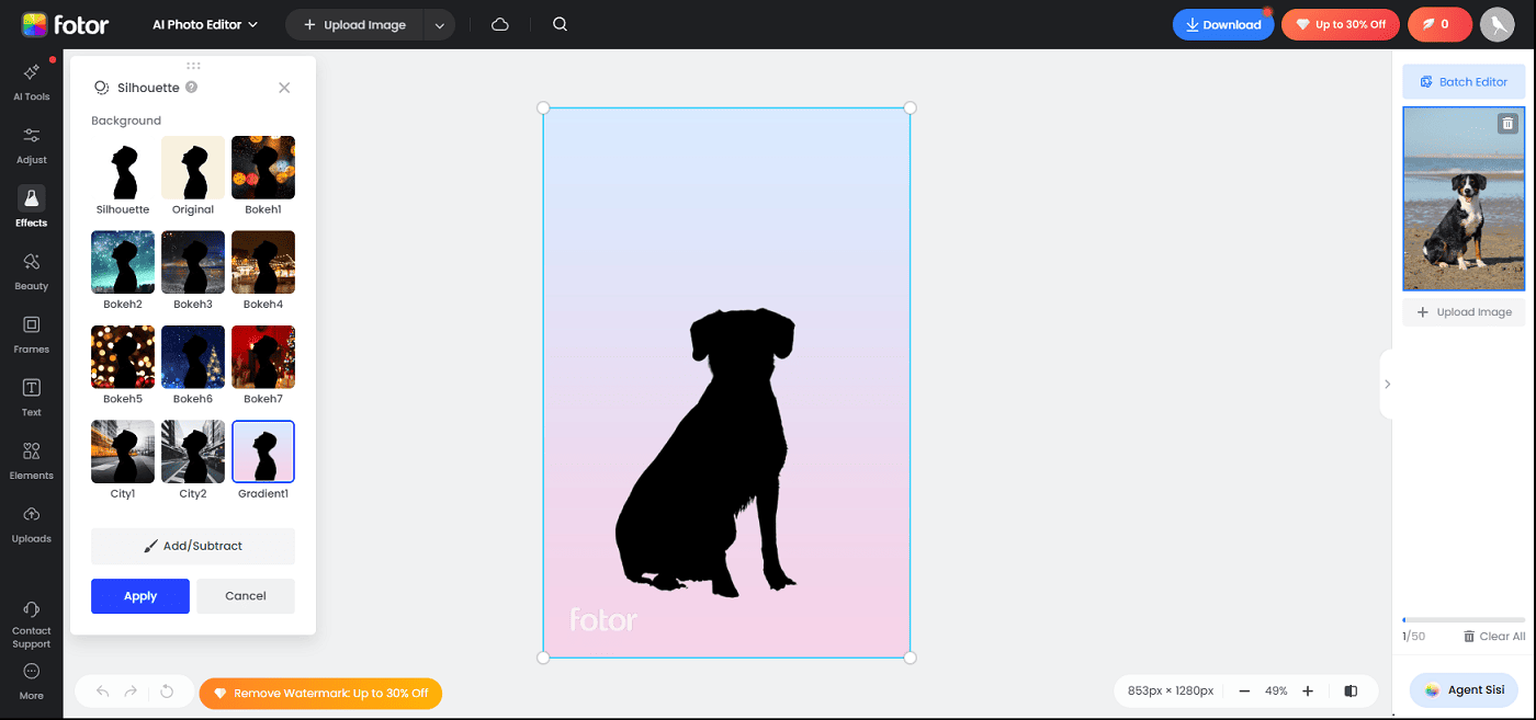 Fotor editing page with the Silhouette menu expanded and a dog silhouette in the center.