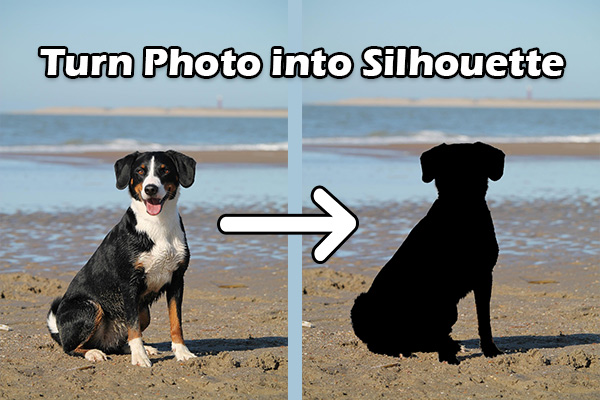 How to Turn a Photo into a Silhouette – Best 2 Silhouette Makers