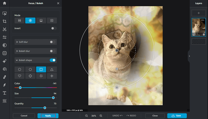 Pixlr interface showing adding a Bokeh effect to the photo and the Apply option selected.