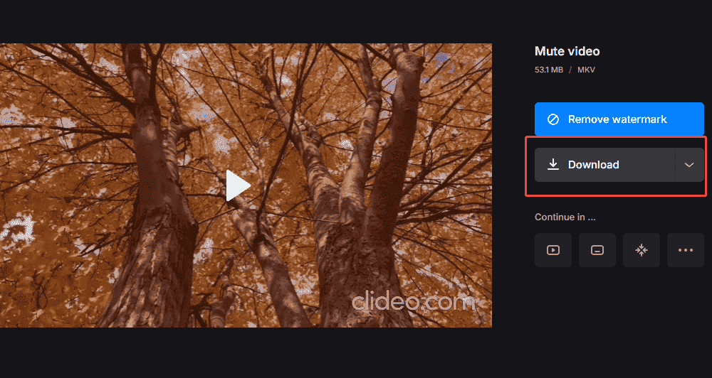 Descargue y guarde el vídeo MKV sin audio con Clideo.