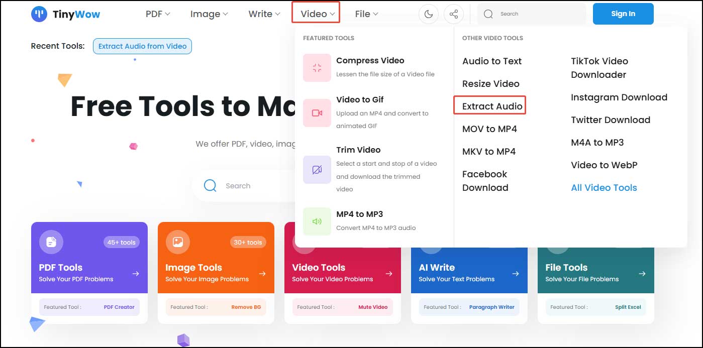 TinyWOWウェブサイトの「Video」タブの下にある「Extract Audio」オプション