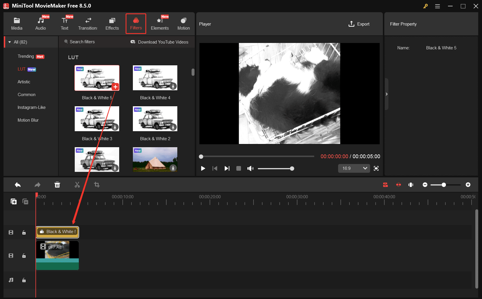 MiniTool MovieMakerで白黒フィルターが動画に追加された状態