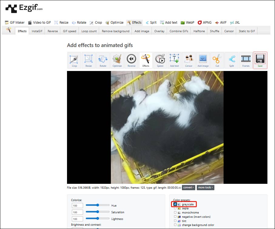 Ezgifの「Color presets」セクションで「grayscale」オプションがチェックされた状態