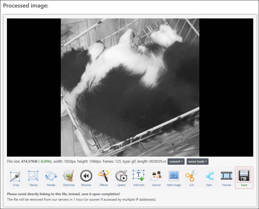 Ezgifの「Processed image」ウィンドウに表示される白黒GIF
