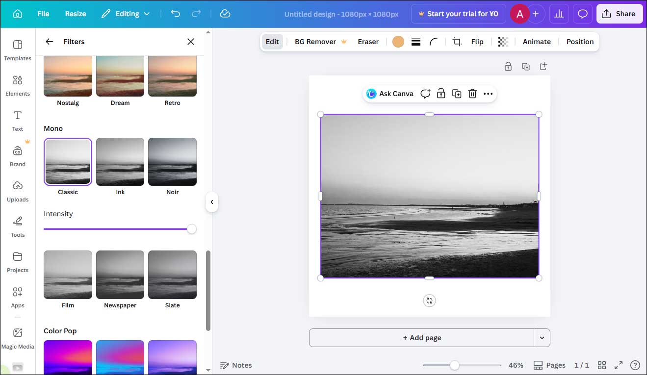 Canva main interface showing how to create a grayscale image.
