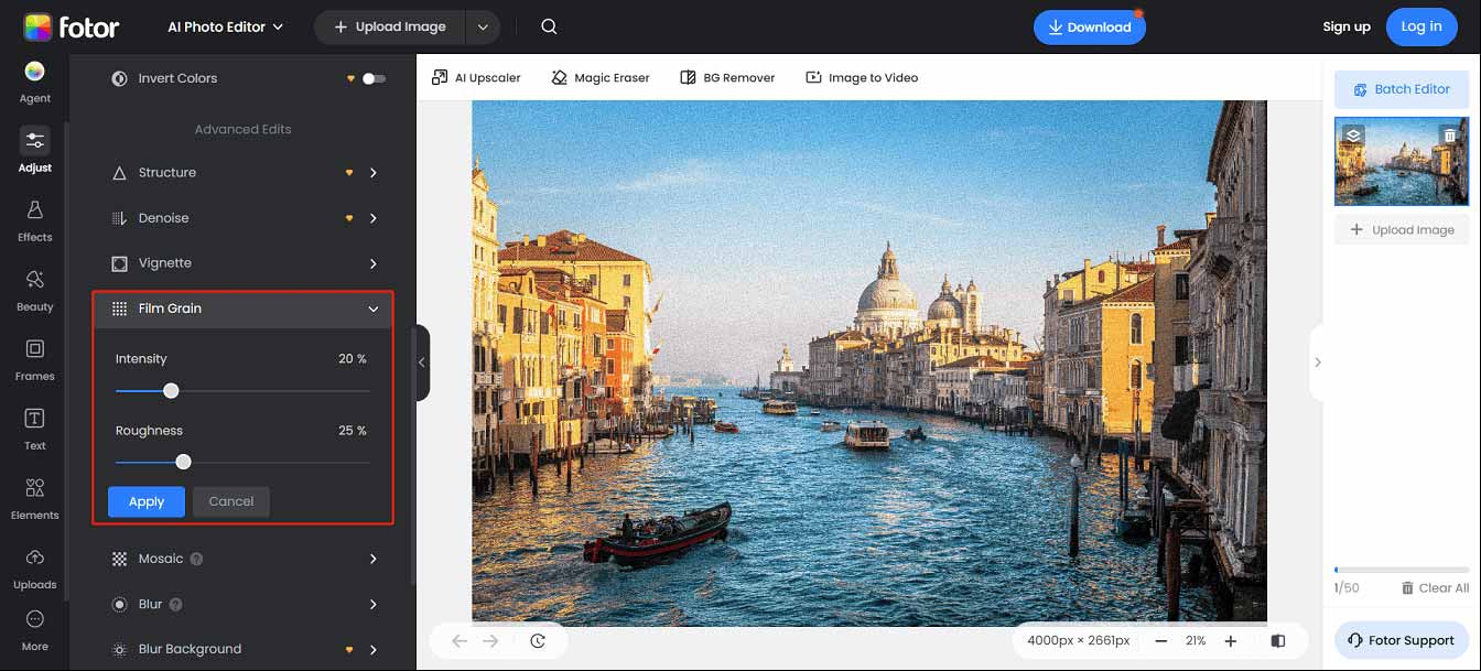 Fotor editing page with the highlighted Film Grain section on the left side.