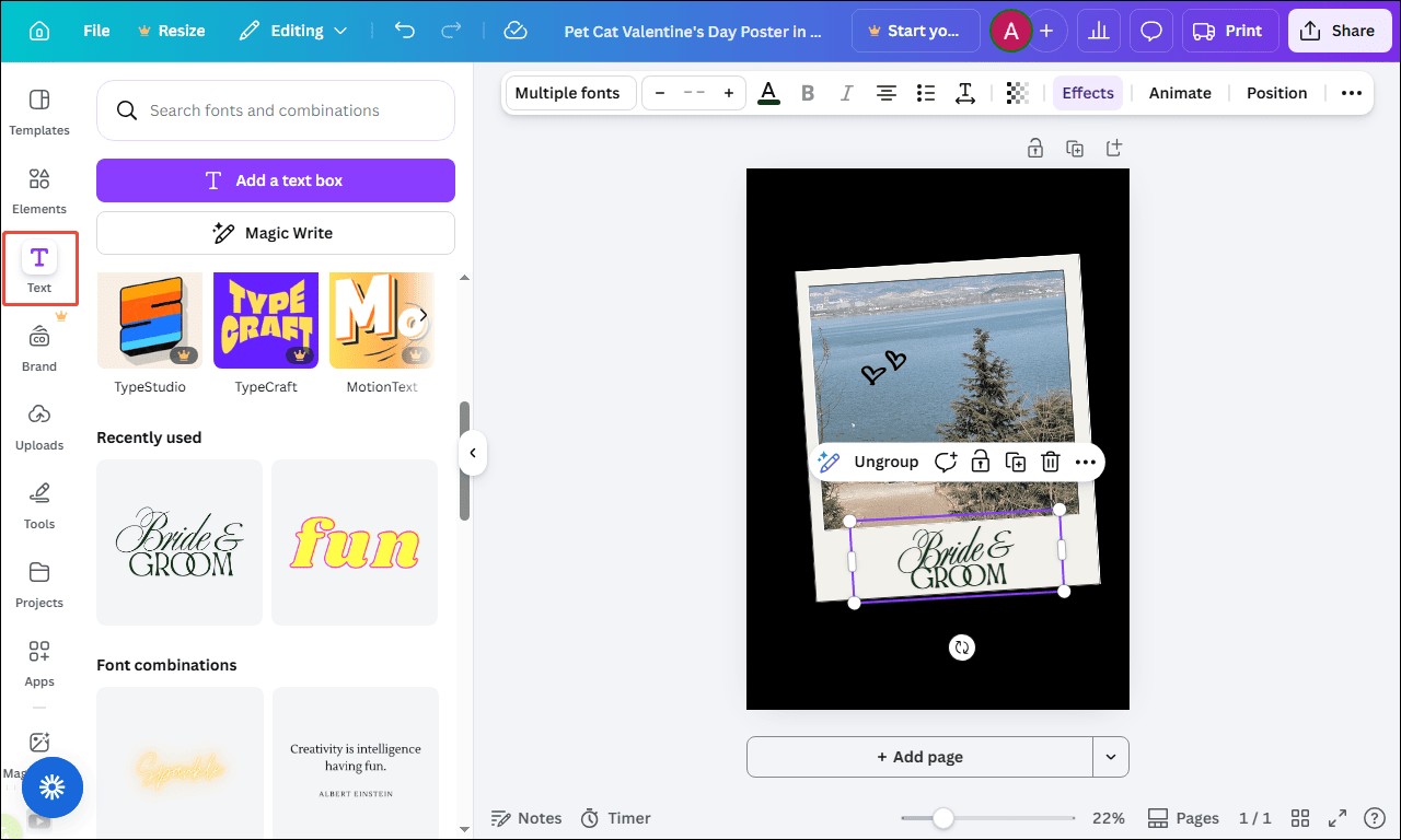 Canva interface with the selected Text option.